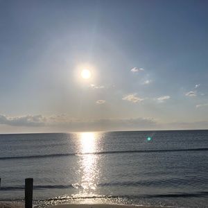 Meet your Posher, Jade